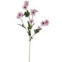 Marguerite en velours FENAS, rose-blanc, 65cm