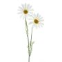 Marguerite artificielle SOPY, blanc, 55cm
