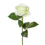 Fleur décorative Rose ETAVOL, vert clair-blanc, 55cm, Ø8,5cm