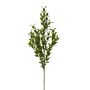 Branche artificielle de fragon petit-houx SNERLO, vert, 70cm