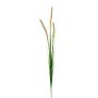 Branche artificielle Pennisetum RILVO, panicules, vert-rose, 90cm