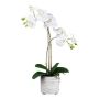 Orchidée Phalaenopsis artificielle GROTVER, pot en céramique, racines, blanc, 50cm