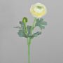 Renoncule synthétique CADISS, crème, 50cm, Ø7,5cm