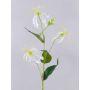 Fleur artificielle Gloriosa MAFIRNA, blanc-vert, 80 cm