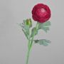 Renoncule synthétique CADISS, fuchsia, 50cm, Ø7,5cm
