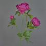 Branche artificielle de pivoine MEIRU, violet foncé, 70cm, Ø9-12cm