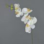 Branche décorative d'orchidée Phalaenopsis LANUA, crème, 70 cm, Ø 8,5-12 cm