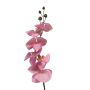 Branche décorative d'orchidée Phalaenopsis LANUA, rose, 70 cm, Ø 8,5-12 cm