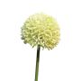Fleur artificielle Allium BAILIN, vert crème, 45 cm, Ø 6,5 cm