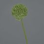 Fleur artificielle Allium BAILIN, verte, 45 cm, Ø 6,5 cm