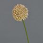 Fleur artificielle Allium BAILIN, rose-crème, 45 cm, Ø 6,5 cm
