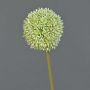Fleur artificielle Allium BAILIN, vert crème, 65 cm, Ø 10 cm