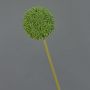 Fleur artificielle Allium BAILIN, verte, 65 cm, Ø 10 cm