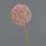 Fleur artificielle Allium BAILIN, rose-vert, 65 cm, Ø 10 cm
