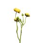 Branche de renoncules artificielles JIXIANG, jaune, 50cm