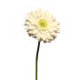 Fleur artificielle Gerbera QIUDONG, crème, 50 cm, Ø 12 cm
