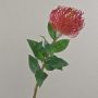 Fleur artificielle « coussin à épingles » Protea XIFANG, rouge, 75 cm, Ø 10 cm