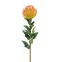 Fleur artificielle « coussin à épingles » Protea XIFANG, jaune-orange, 75 cm, Ø 10 cm