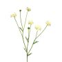 Branche décorative de centaurée TAOTAO, crème, 65 cm, Ø 4-5 cm