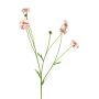 Branche décorative de centaurée TAOTAO, rose-fuchsia, 65 cm, Ø 4-5 cm