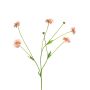 Branche décorative de centaurée TAOTAO, rose, 65 cm, Ø 4-5 cm