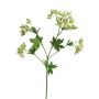 Branche décorative d'Euphorbia marginata MENGWEN, fleurs, crème-vert, 65cm
