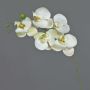 Branche artificielle d'orchidée Phalaenopsis SONGYA, blanc-vert, 50 cm, Ø 6-7 cm