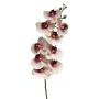 Branche artificielle d'orchidée Phalaenopsis SONGYA, rose-crème, 105 cm