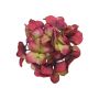 Fleur décorative hortensia FUHUA, rouge-vert, 23 cm, Ø 14 cm