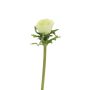 Fleur synthétique Anémone BOYANG, vert clair, 35cm, Ø6cm