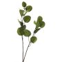 Branche décorative d'eucalyptus AOSHAN, verte, 80 cm