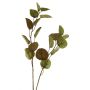 Branche décorative d'eucalyptus AOSHAN, marron-vert, 80 cm