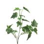 Branche décorative de lierre LANSHUO, vert et blanc, 55 cm