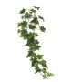 Branche décorative de lierre LANSHUO, vert et blanc, 80 cm