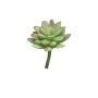 Fleur décorative Sedum rubrotinctum AOLUO sur tige, vert-rouge, 16cm