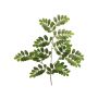 Branche décorative de robinier WENLIN, verte, 70cm
