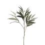 Branche décorative de mangue WENLIAN, vert-gris, 75cm