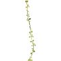 Guirlande artificielle muehlenbeckia JIAMIN, verte, 240cm