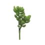 Plante succulente artificielle arbre à argent MUNING, tige, verte, 14cm