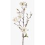 Magnolia artificiel LILO, crème, 75cm, Ø5-9cm