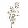 Magnolia artificiel LILO, crème, 75cm, Ø5-9cm