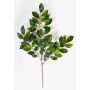 Branche artificielle de ficus Benjamini AJITH, vert, 45cm