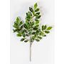 Branche artificielle de ficus Benjamini AJITH, vert-blanc, 45cm