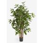 Faux Dracaena Surculosa SIMBA, troncs naturels, vert, 90cm