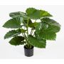 Plante artificielle Alocasia Calidora SALONI, vert, 75cm