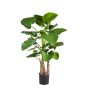 Plante décorative Alocasia Calidora SURI, vert, 120cm