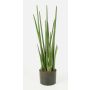 Sansevieria artificiel MERVE, vert, 100cm