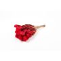 Bouquet sec d'immortelle d'Italie BIBIANA, rouge, 30-40cm, Ø15cm