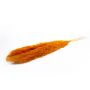 Herbe de la Pampa séchée ANIAMI, orange, 130-140cm, Ø20cm