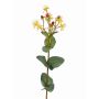 Millepertuis décoratif ARMIE, floraison, fruits, jaune-rouge, 65cm